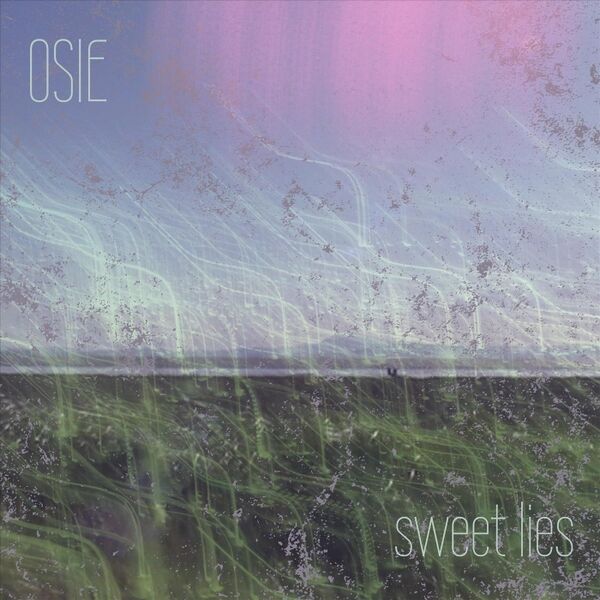 Cover art for sweet lies